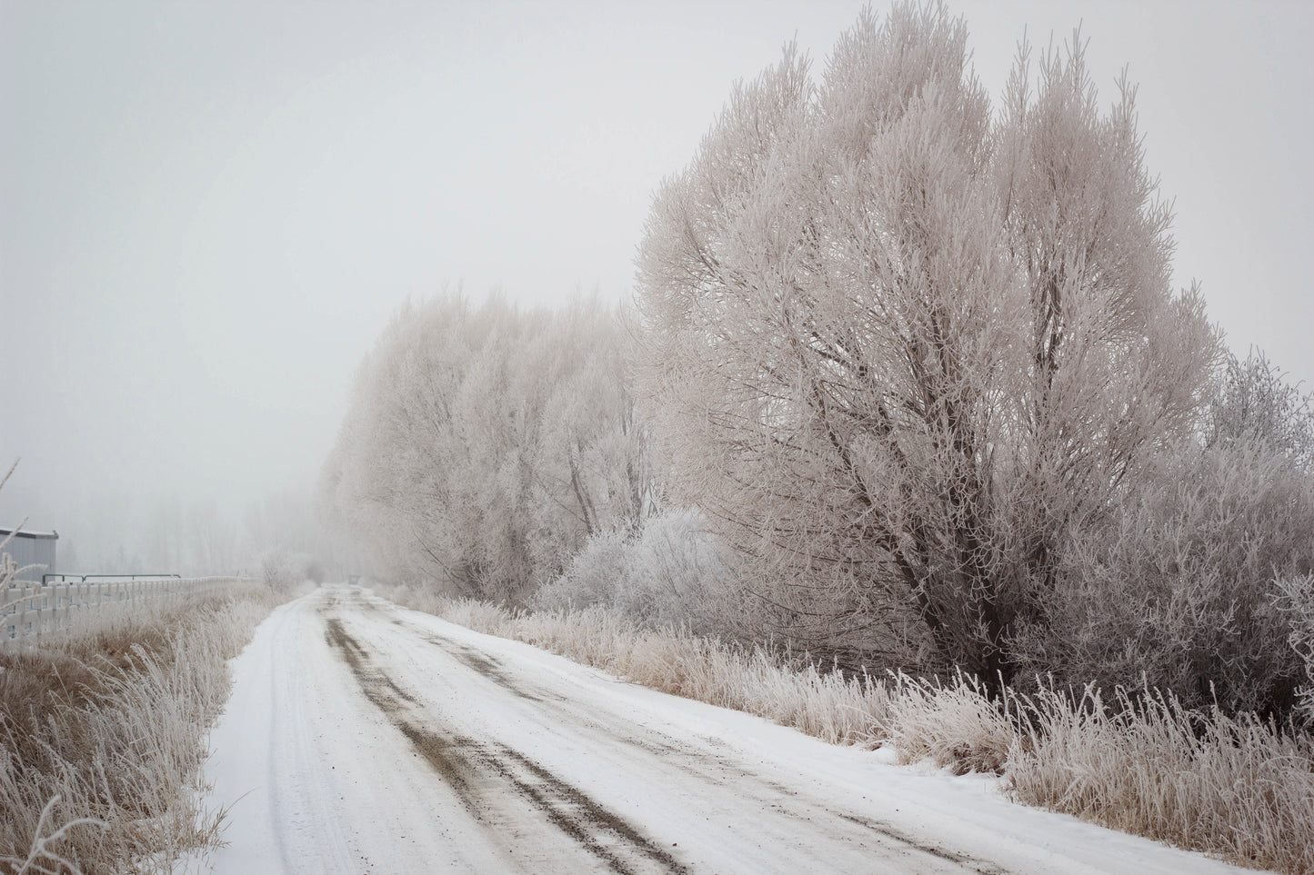 Gunnison Road