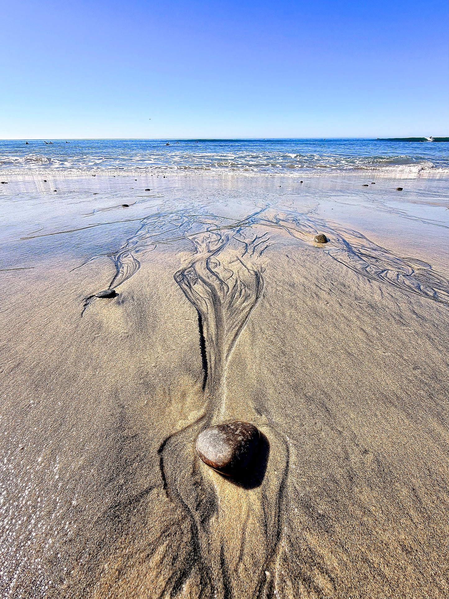 Nature's Design