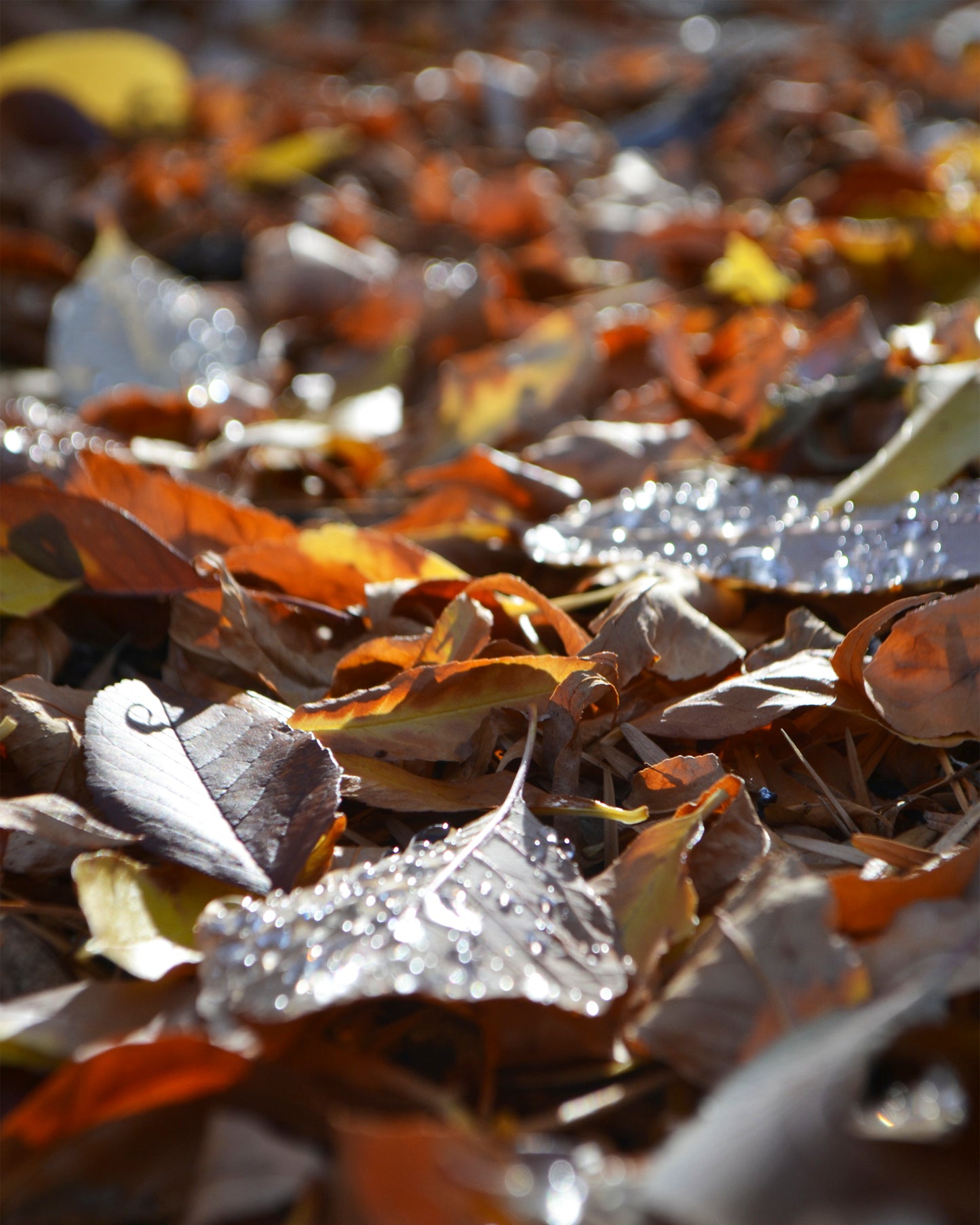 Texture