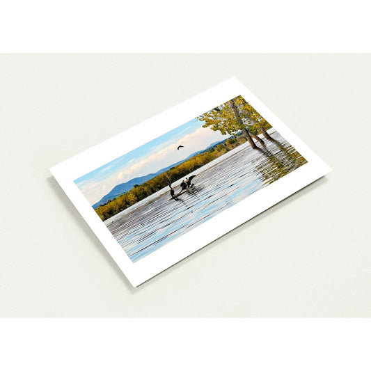 dfc59a86-0b9d-4255-83a4-882363d560f1