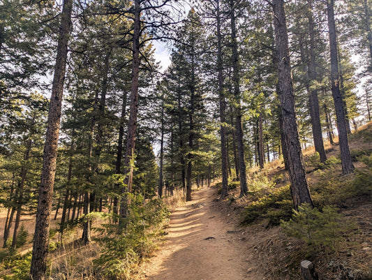 Finding Your Word of the Year