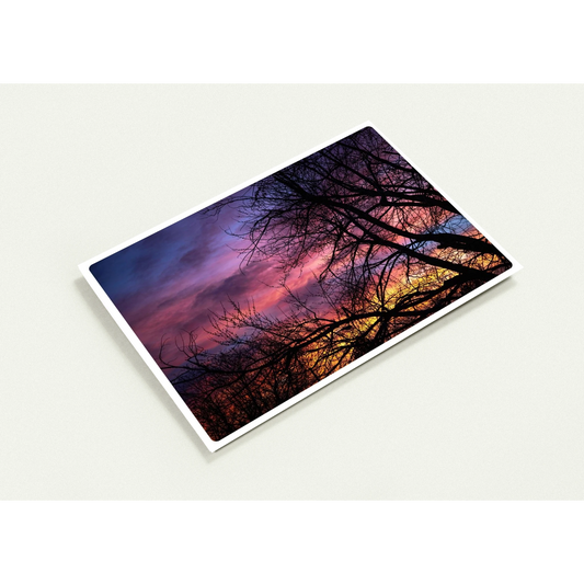 8117a812-8fd2-46d8-bf60-91a2e1d0a3f6