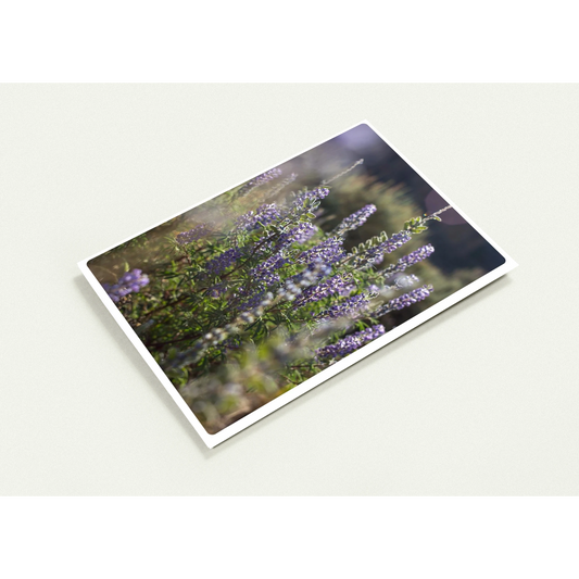 85674c04-7559-4fcc-90c4-d2987b47f30d