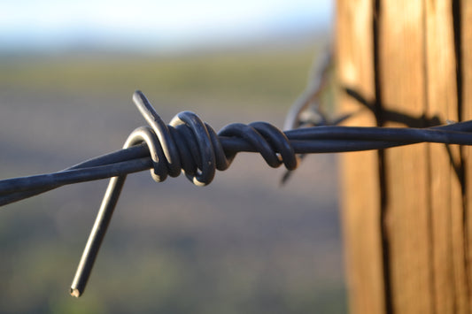 Barbed Wire