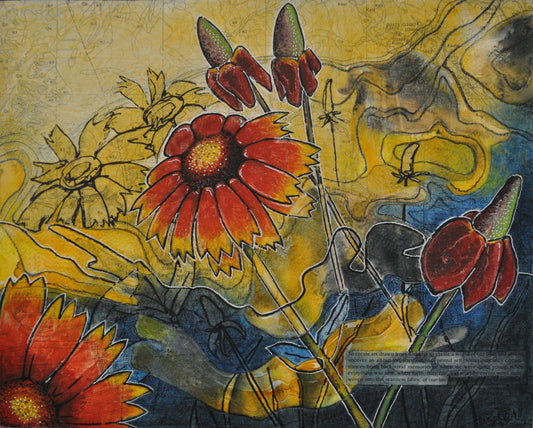 Blanket Flower