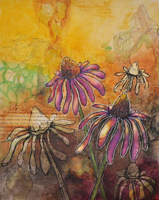 Cone Flower