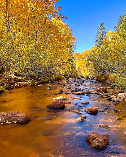 Geneva Creek in the Fall
