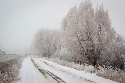 Gunnison Road