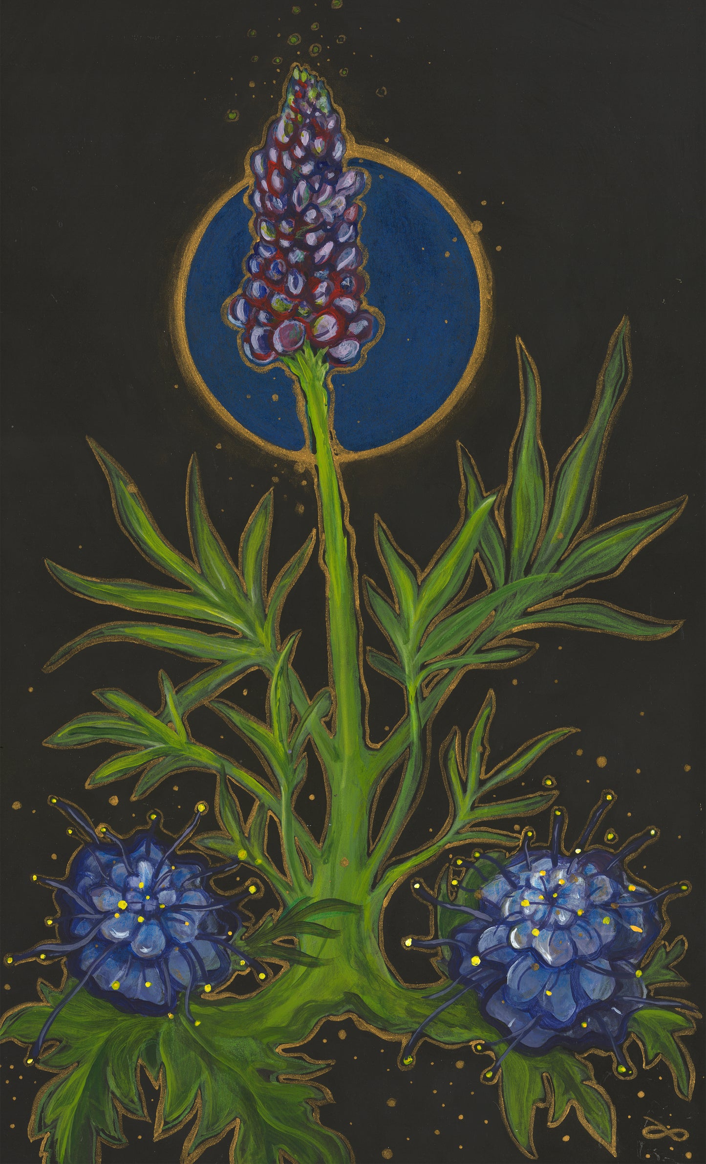 His Lupine Garden