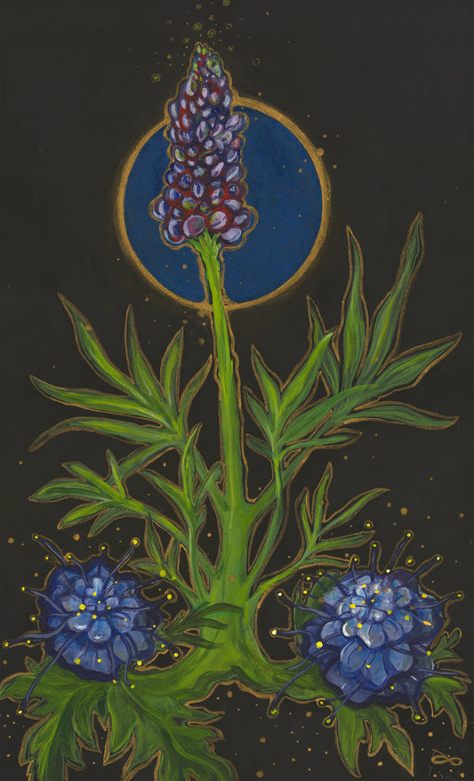 His Lupine Garden