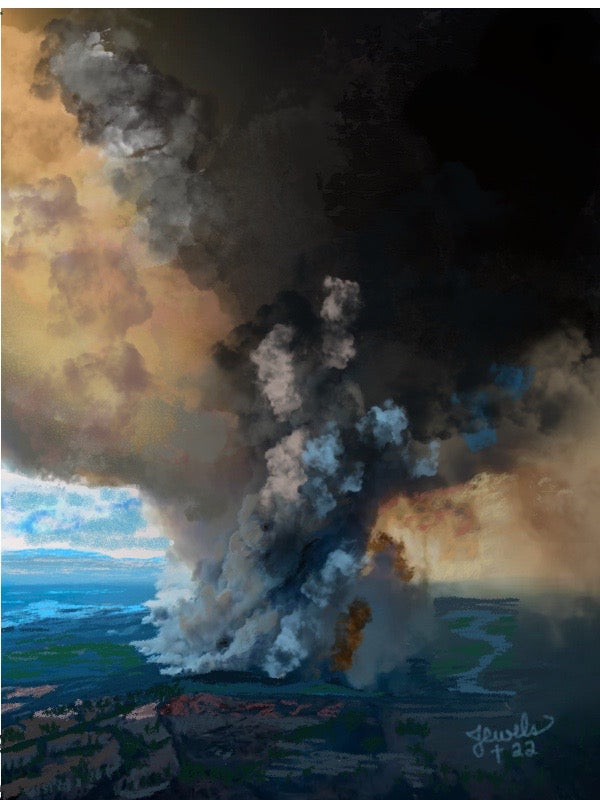 Australian Wildfires