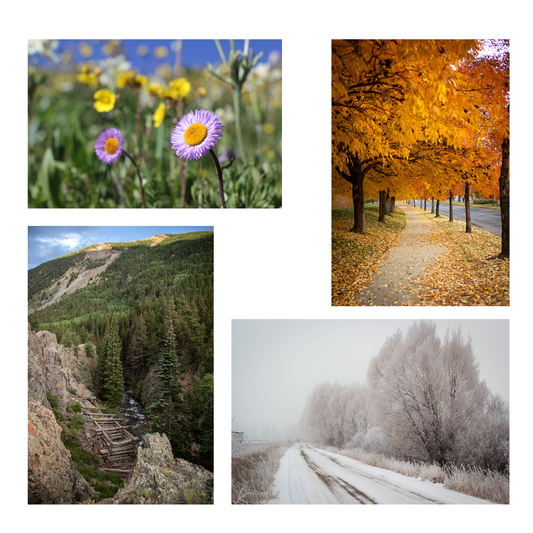 Jenn Leth | Four Seasons Bundle