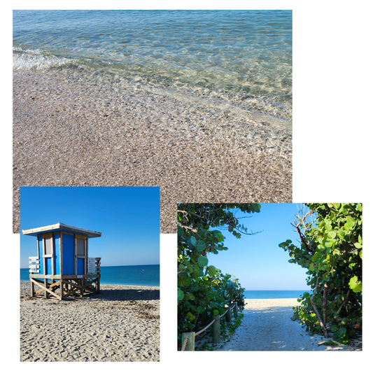 Kelley Allen | Beachy Bundle