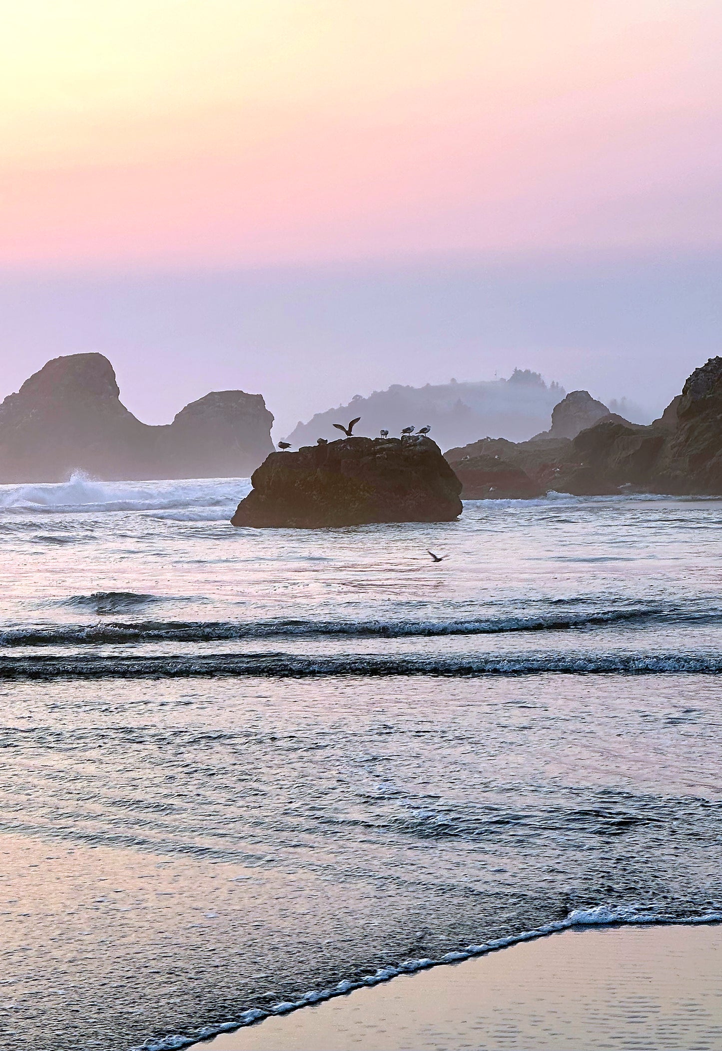 Selina McKee | California Vertical Bundle