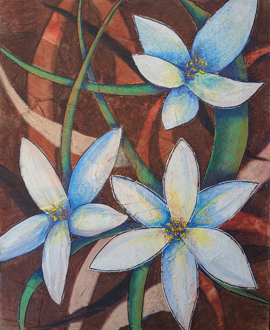 Star Lily