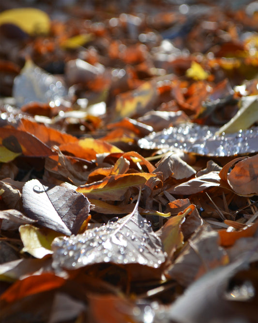 Texture