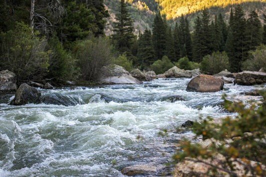 Upper Taylor River