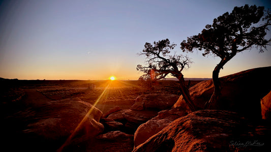 Utah Sunset